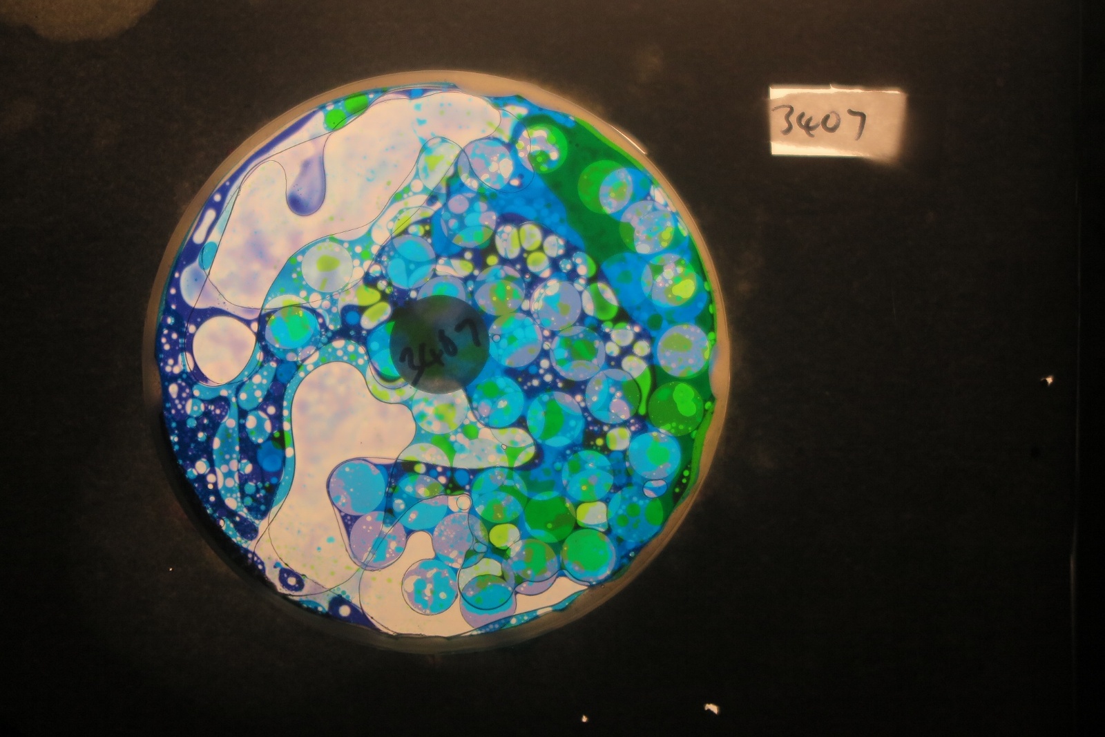 BV3407 bubble vision oil wheel